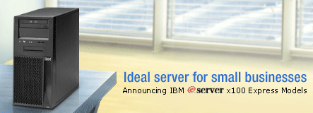IBM eServer x100 Express Model
